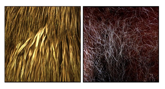 Líneas vitales 4 (Serie Líneas Vitales) 