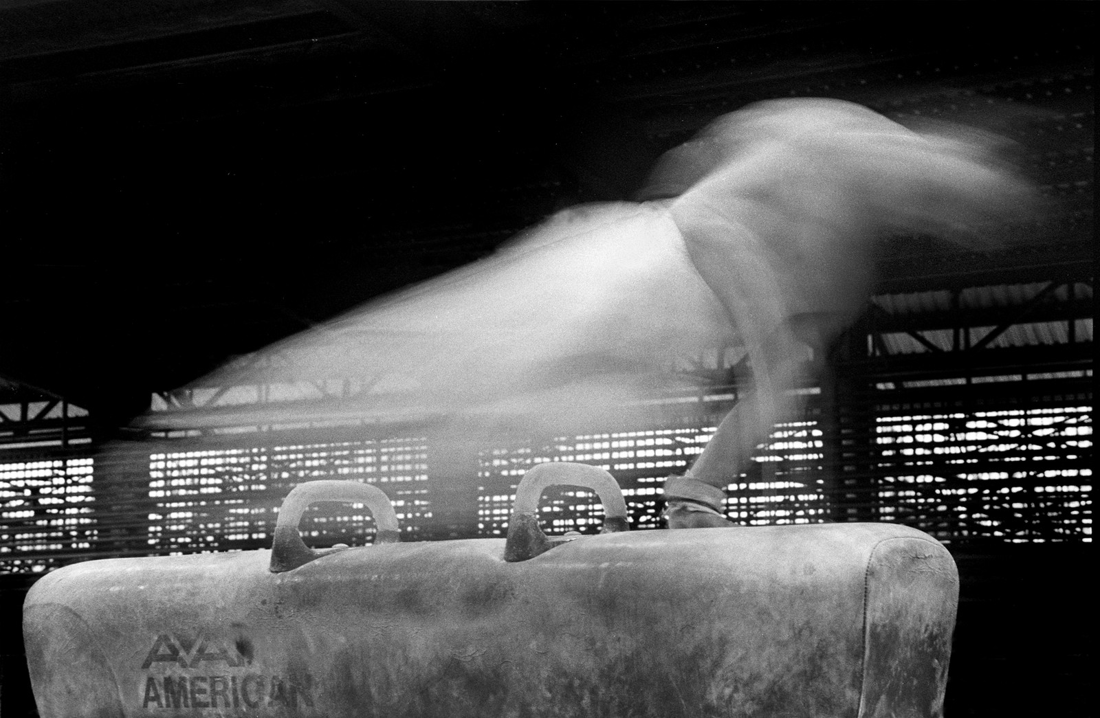 Caballo blanco