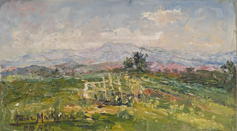 Paisaje 