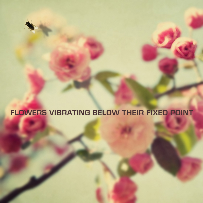 Flores vibrando por debajo de su punto fijo