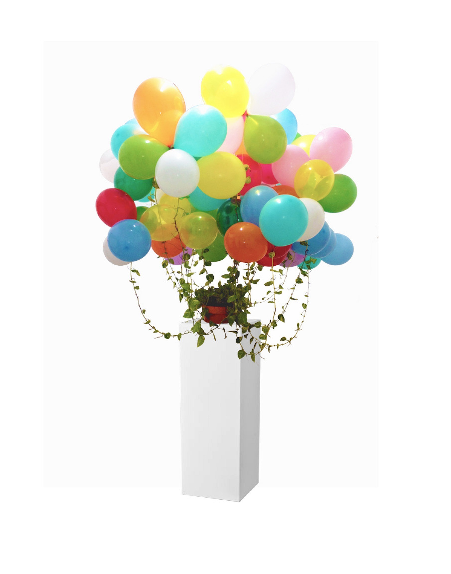 Above the Law