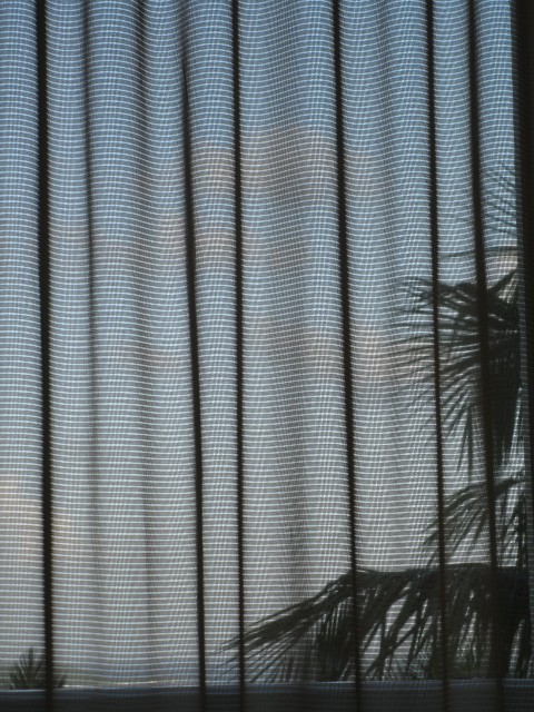 Paraíso Tropical I