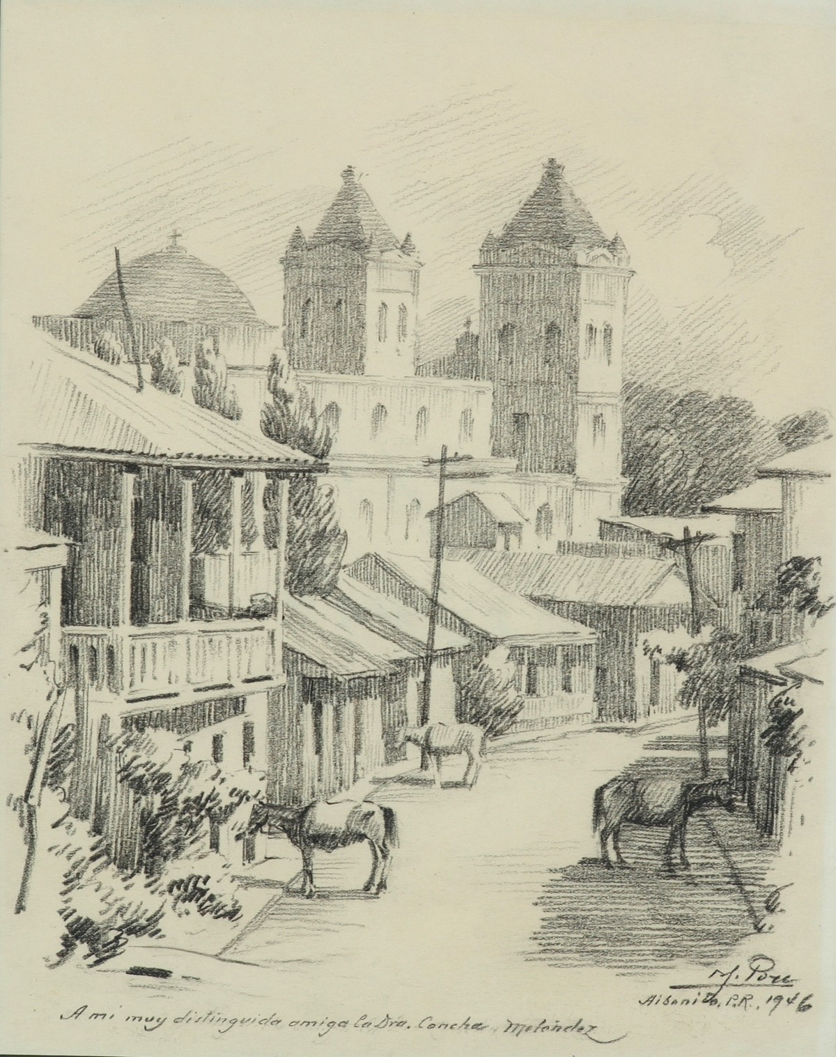 Aibonito Townscape