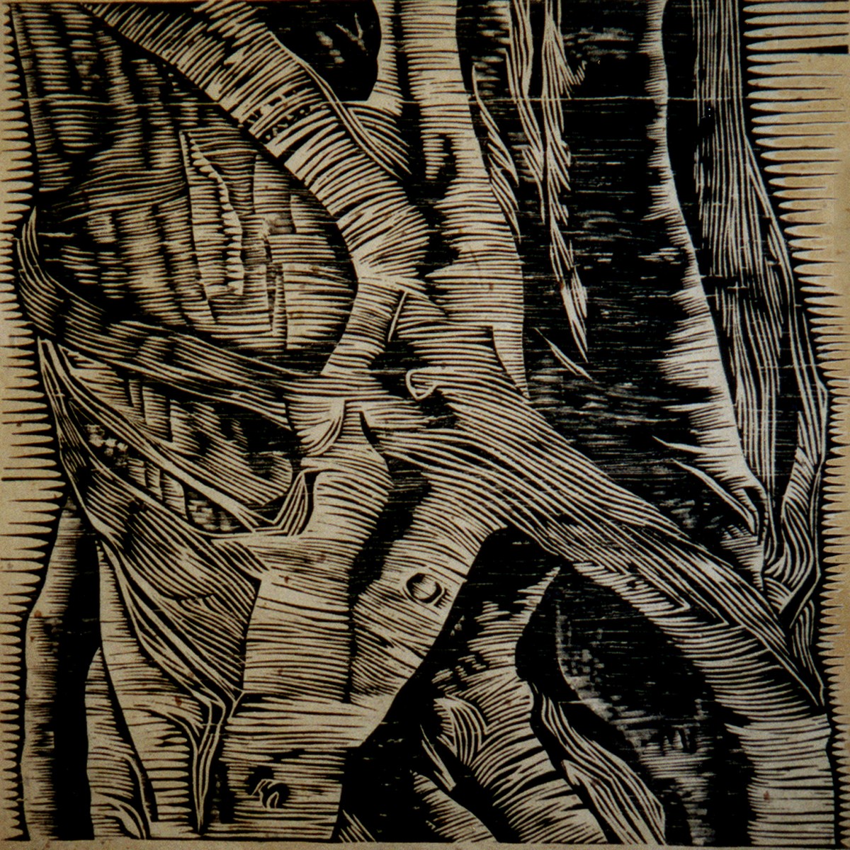 Three sad tree trunks 