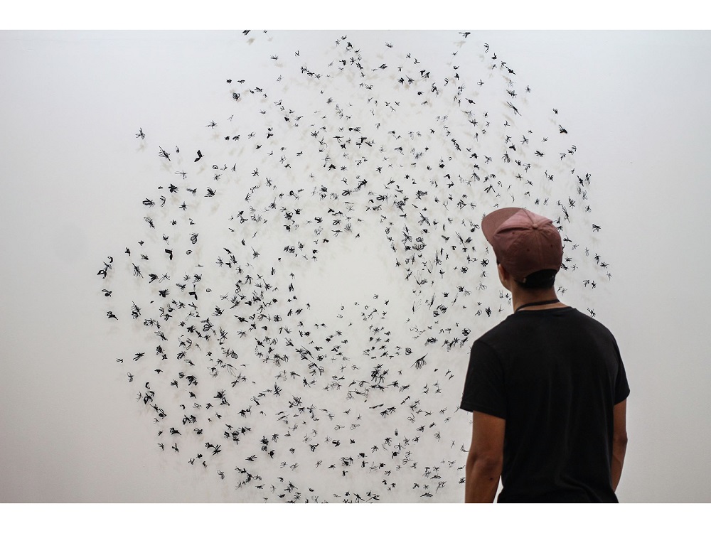Murmuration