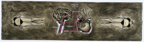 La anatomía según el tránsito de las palabras 