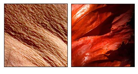 Líneas Vitales 3 (Serie Líneas Vitales) 