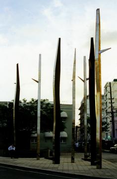 Danza de Fuego 