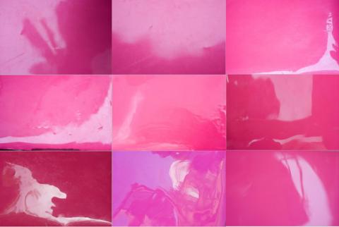 Paisaje Rosa