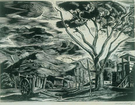 Yauco Landscape