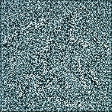 Bechara TV Snow