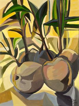 Cocos