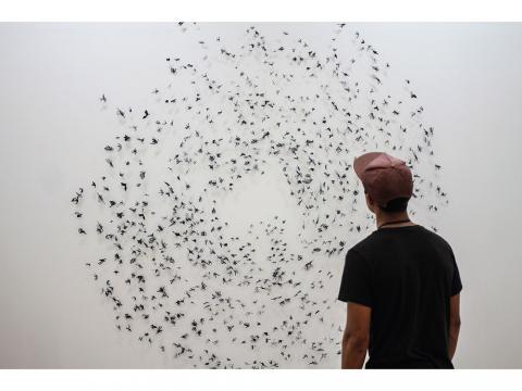 Murmuration