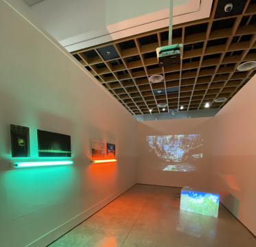 Installation view of artworks presented in ‘Espacio Común’ exhibition at Museo de Arte de Puerto Rico (2019)