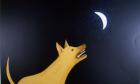 Sato enamorado de la luna 