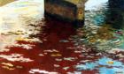 Puente con agua roja (Bridge with Red Water)