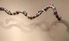 The Serpent