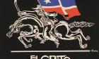 Pintura Mural Rafael Rivera García