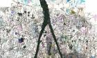 Curatorial Studies Program 