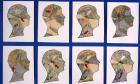 Usted está aquí?