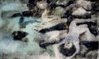 Rocks