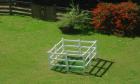 The Grass Was Greener
