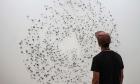 Murmuration
