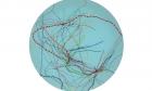 The Unnamed (Hurricane routes)