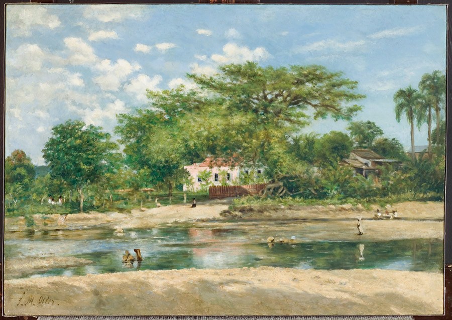 Ponce Grand Old Ceiba Tree