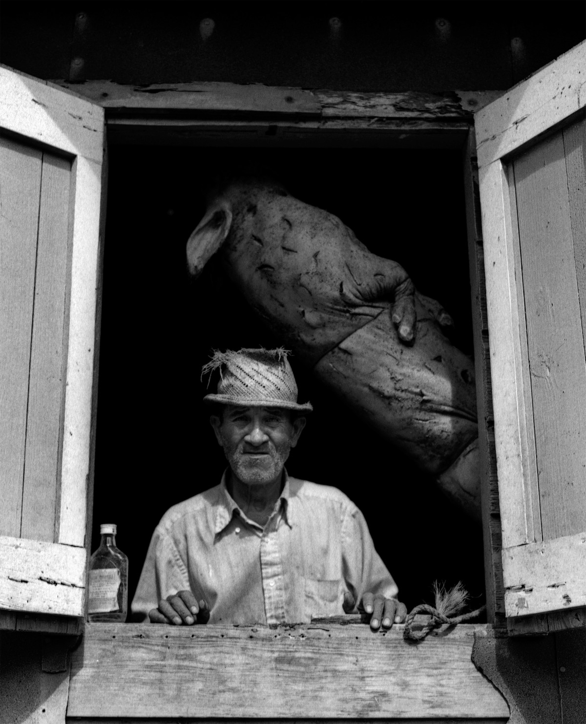 Don Lolo, Traditions: Puertorriqueñidad Album