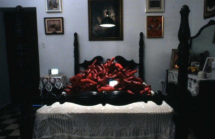 El sótano y el jardín 