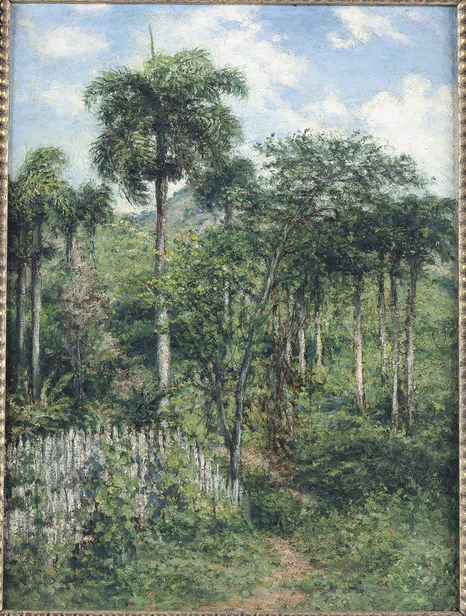 Landscape with Royal Palm