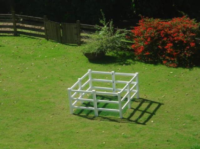 The Grass Was Greener