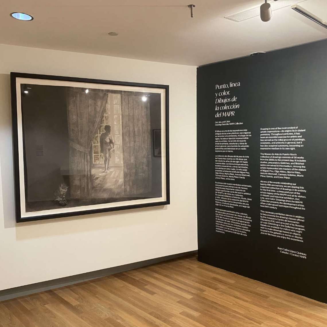 Punto, línea y color.