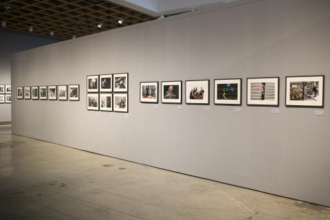 vista amplia de las fotografías en la galería.