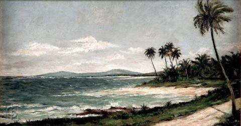 Costa de Luquillo 