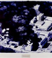 Misfire Smoke Signal Case #3