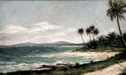 Costa de Luquillo 